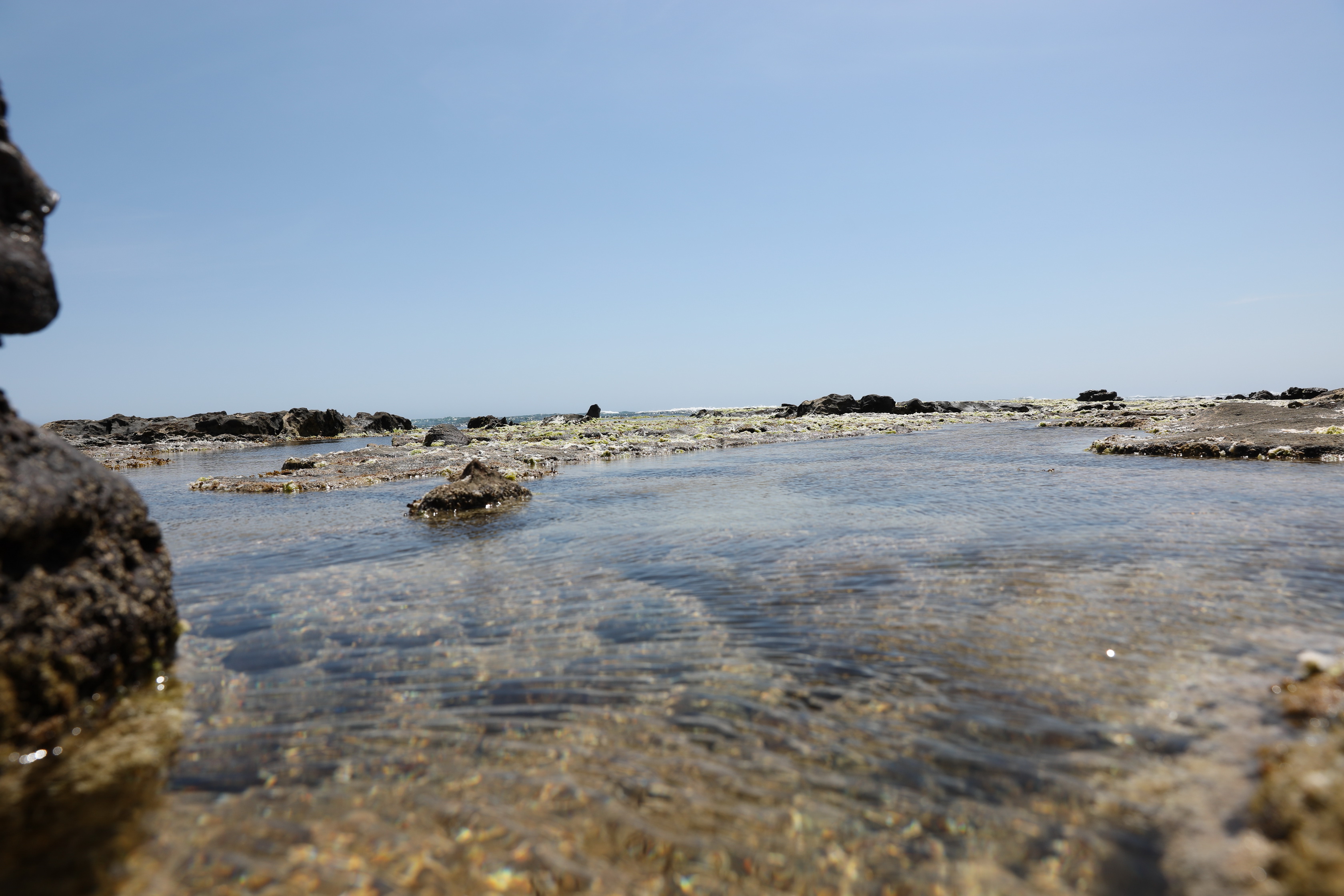 2019 12 19 15 05 41 Canon EOS 5D Mark IV 0048